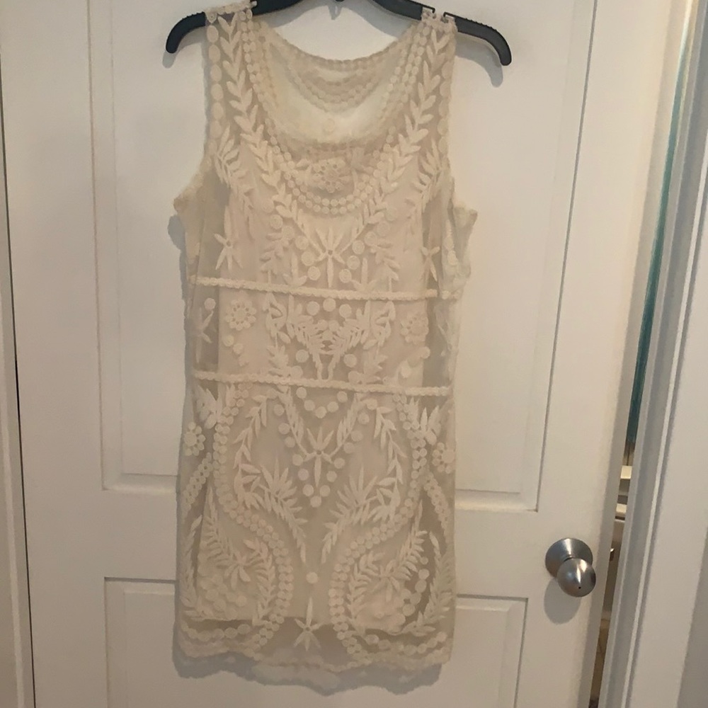 Express sheer dress with slip attached underneath